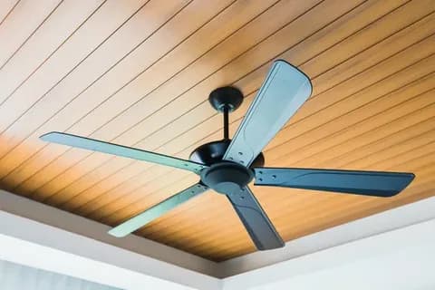 Ceiling Fans